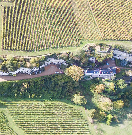 Luftaufnahme von Weinbergen mit eingebettetem Weingut, Baumstreifen und Kalkfels, Wege und Gebäude entlang der Landschaft.