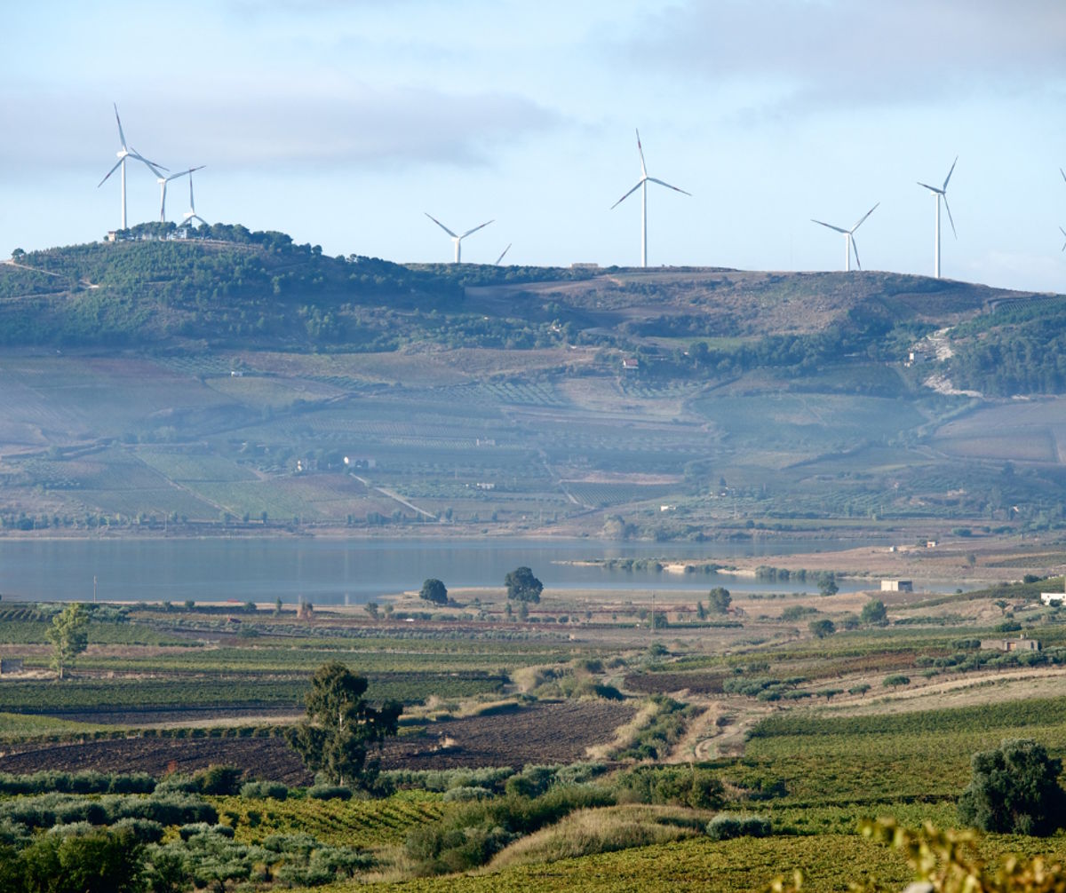 Weitläufige Weinlandschaft mit Feldern, einem See im Mittelgrund und Windrädern auf einem Hügel im Hintergrund.