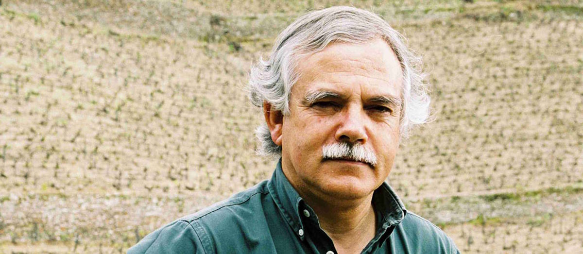 Älterer Mann mit grauem Haar und Schnurrbart vor einer steilen, terrassierten Weinberglandschaft