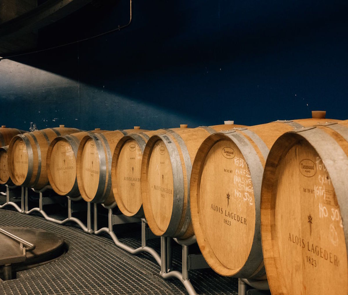  Reihe von Holzfässern mit Aufschrift „Alois Lageder“ in einem modernen Weinkeller vor dunkelblauer Wand