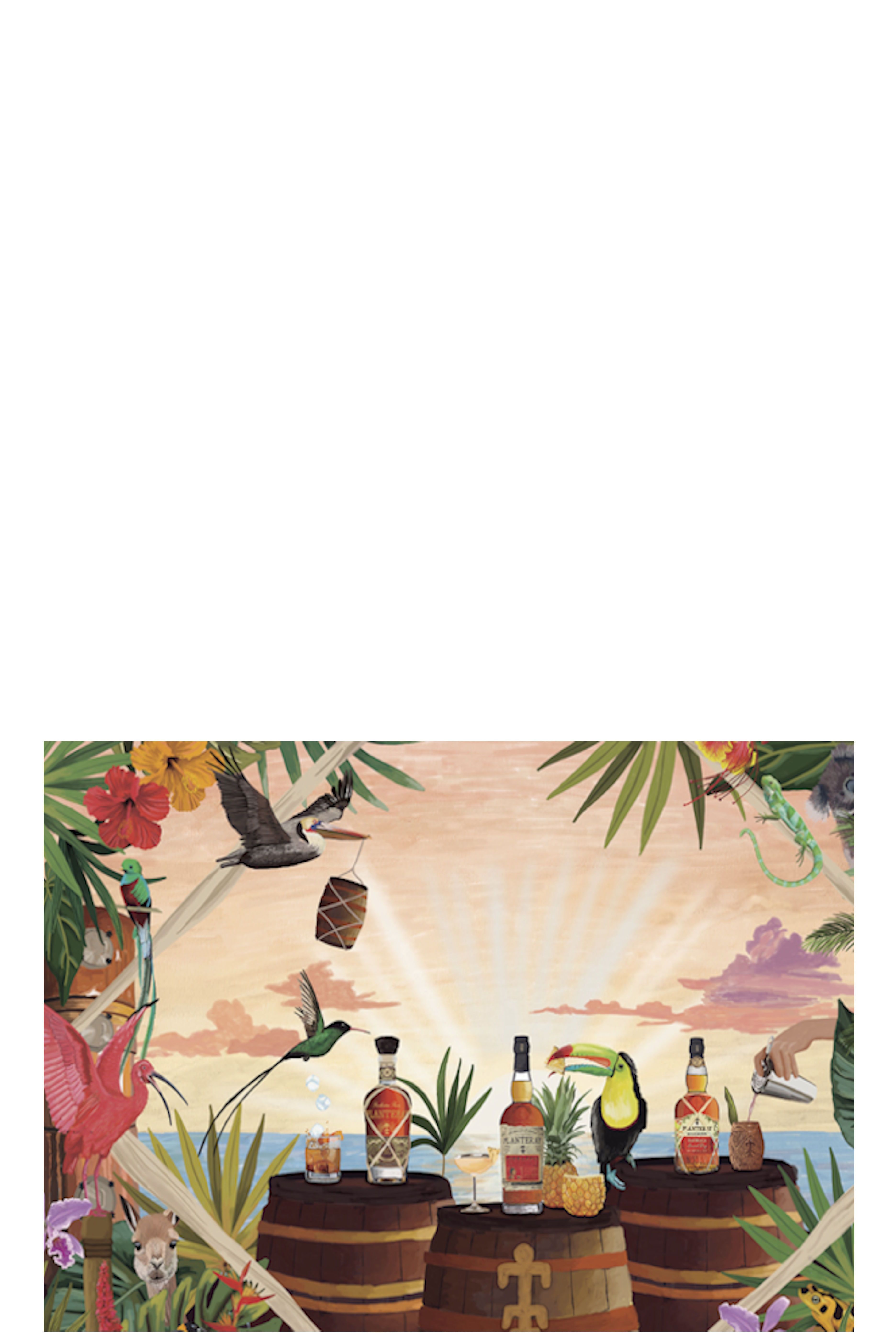 Rum-Tasting 13. Februar 2026