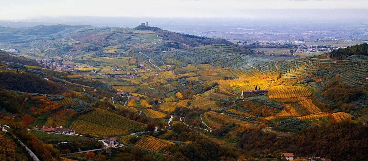 Panoramablick über hügelige Weinlandschaft mit verstreuten Dörfern, Weinbergen und einer Burg auf dem Hügel.