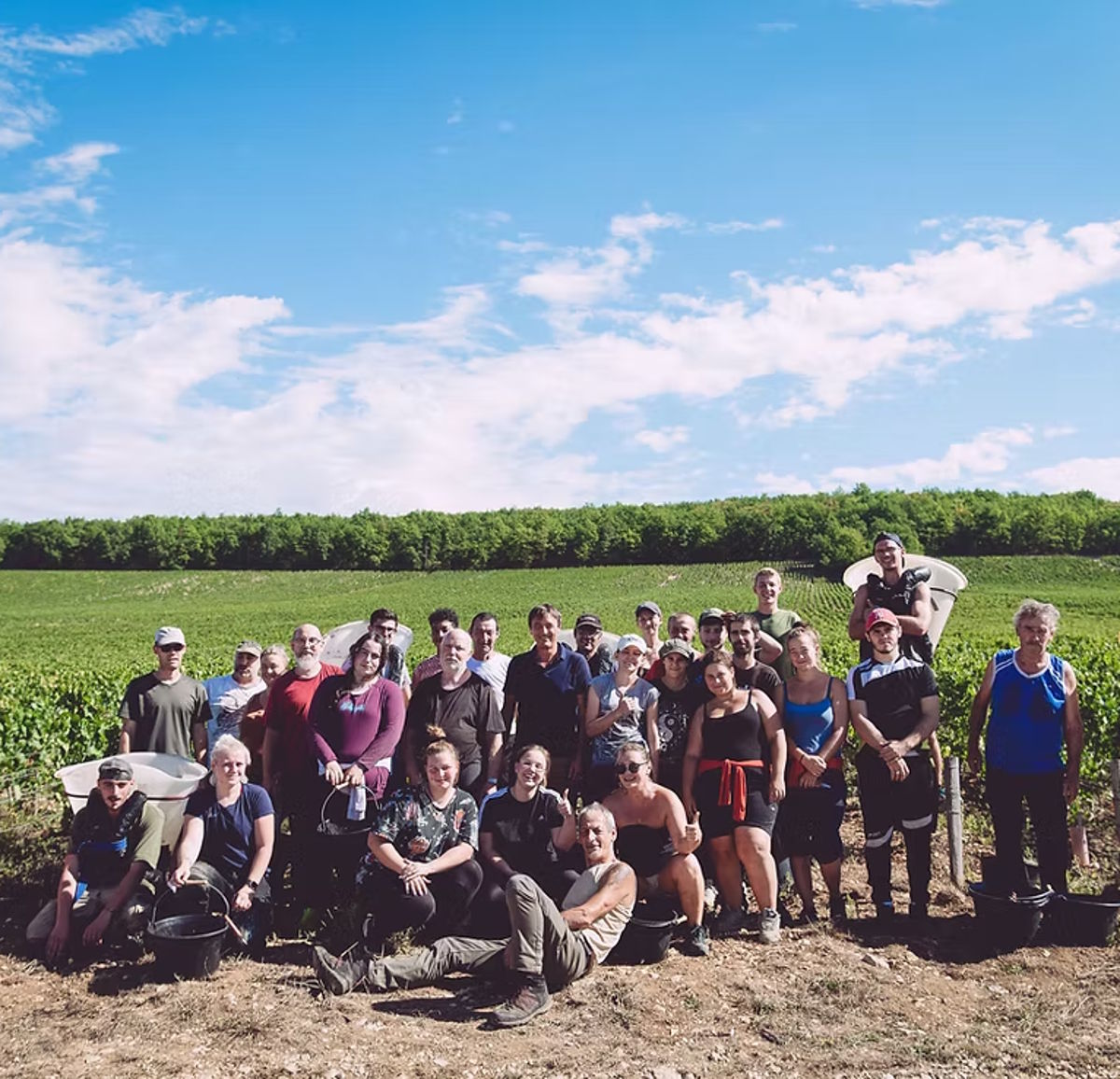 Gruppenfoto eines Ernteteams im Weinberg unter blauem Himmel, alle lachen in die Kamera.