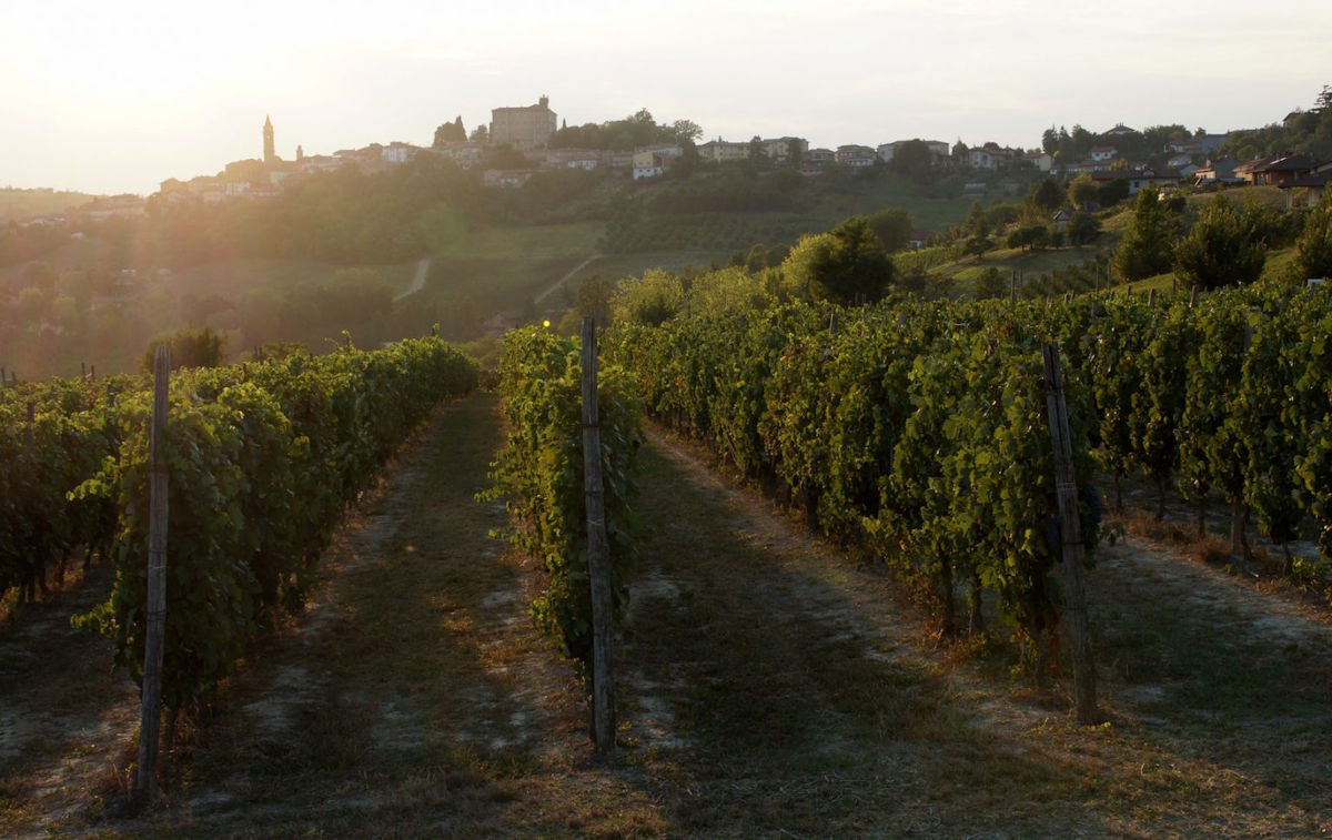  Weinberge im warmen Licht der untergehenden Sonne mit Blick auf ein Dorf auf einem Hügel inmitten einer sanften Hügellandschaft