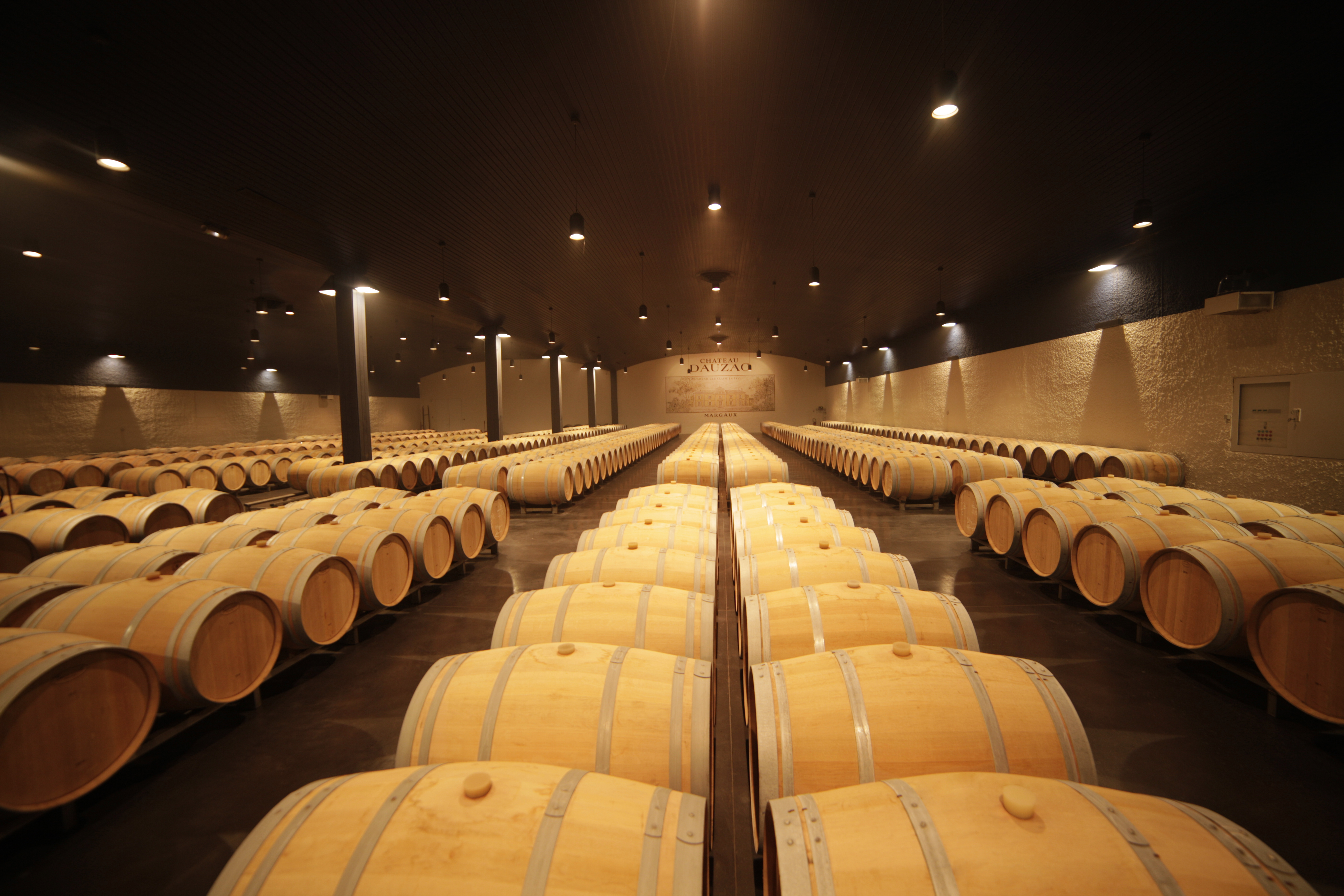 Stimmungsvoll beleuchteter Barriquekeller mit hunderten Holzfässern, die in symmetrischen Reihen aufgereiht sind.