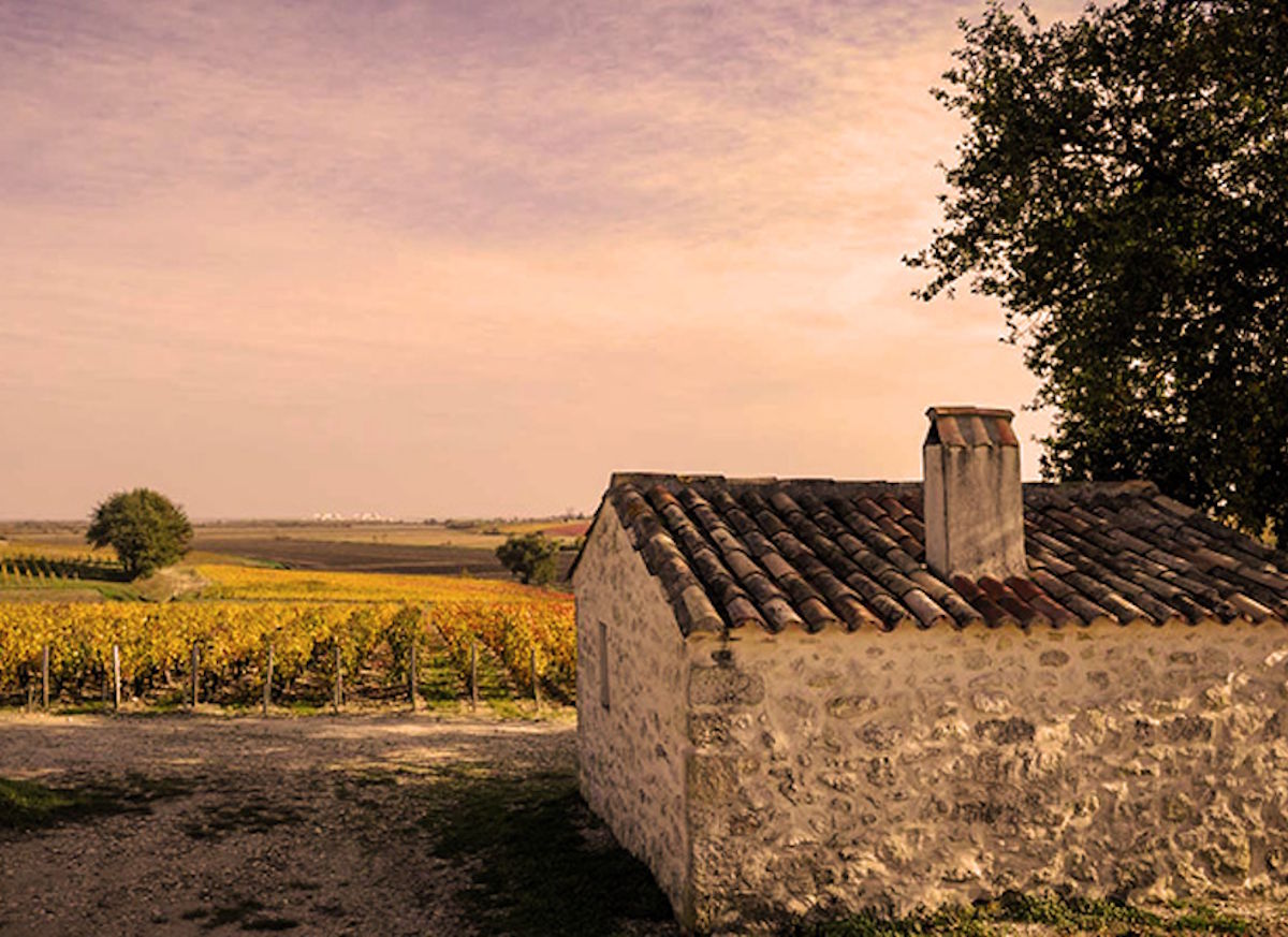 Kleines Steinhaus mit Ziegeldach vor herbstlich gefärbtem Weinberg unter einem warm getönten Abendhimmel.