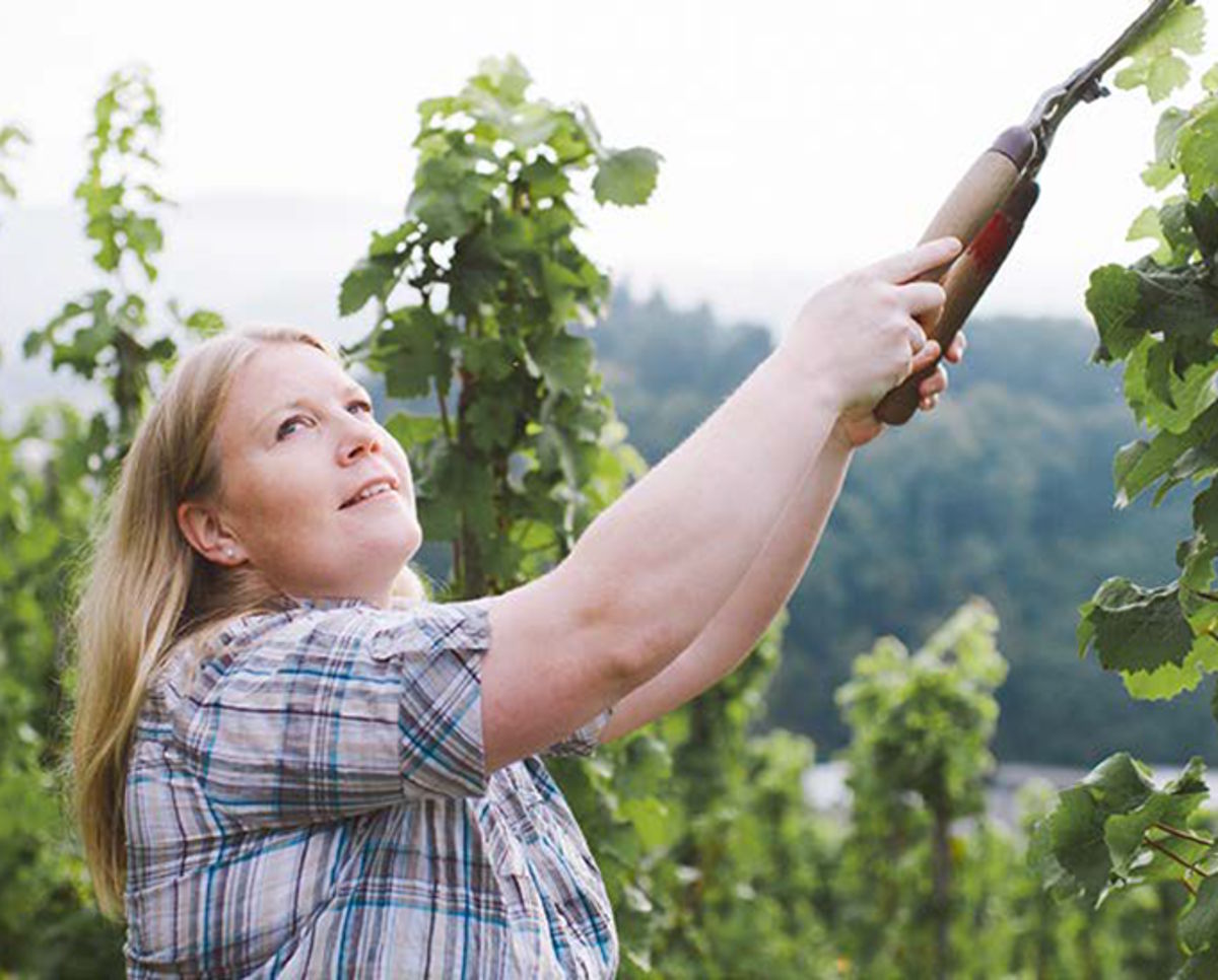 Frau mit Schere bei der Arbeit im Weinberg – sie schneidet Reben unter freiem Himmel mit Blick auf grüne Weinberge im Hintergrund