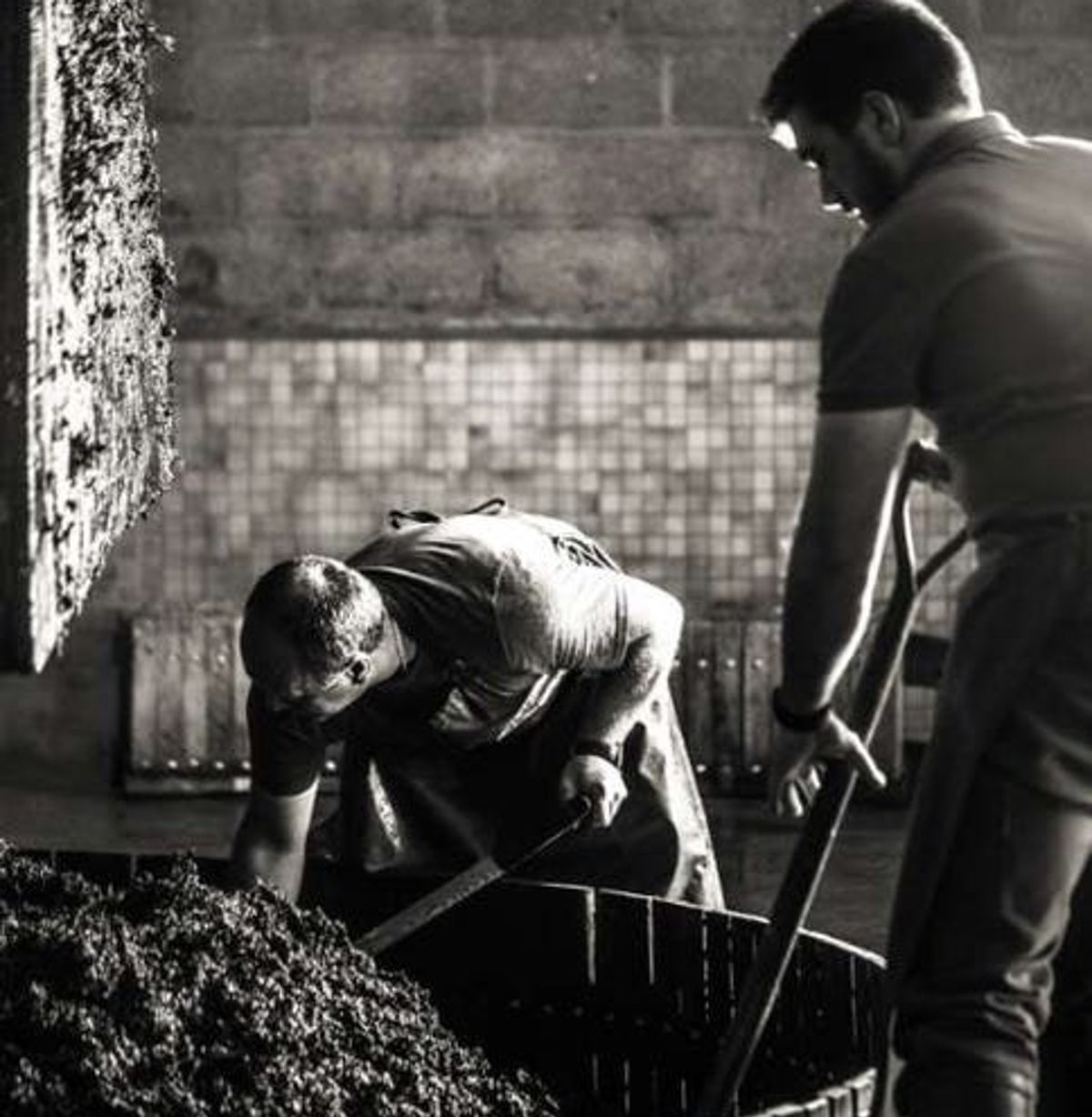 Zwei Winzer bei der händischen Verarbeitung von Maische in der Kellerei, Schwarz-Weiß-Aufnahme.