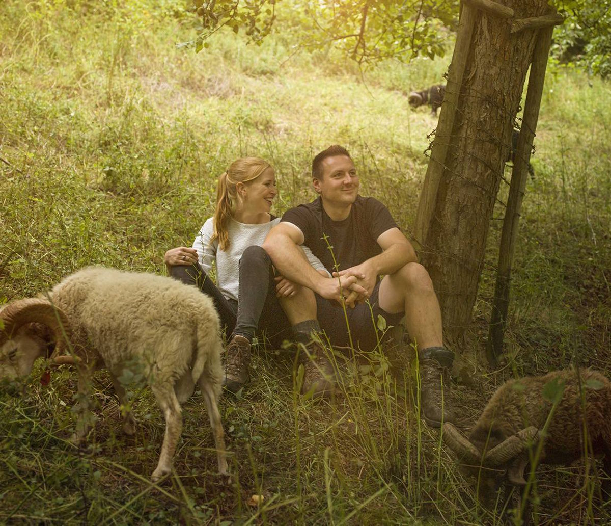 Junges Paar sitzt entspannt unter einem Baum auf einer Wiese, umgeben von grasenden Schafen im weichen Sonnenlicht