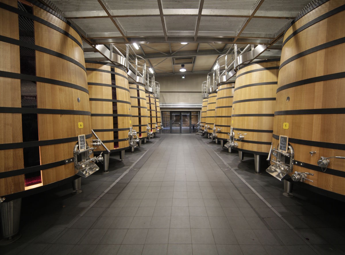 Großer Weinkeller mit massiven Holz-Gärbottichen, die in zwei Reihen gegenüberstehen und mit moderner Edelstahltechnik ausgestattet sind.