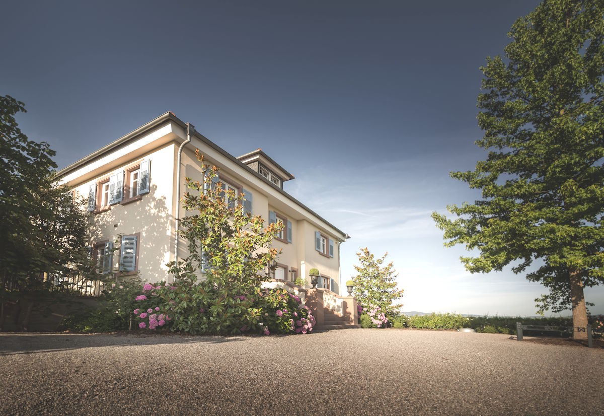 Helles Gutshaus mit Fensterläden und Blumenbepflanzung auf einem Hügel, daneben Bäume und weiter Ausblick unter blauem Himmel.