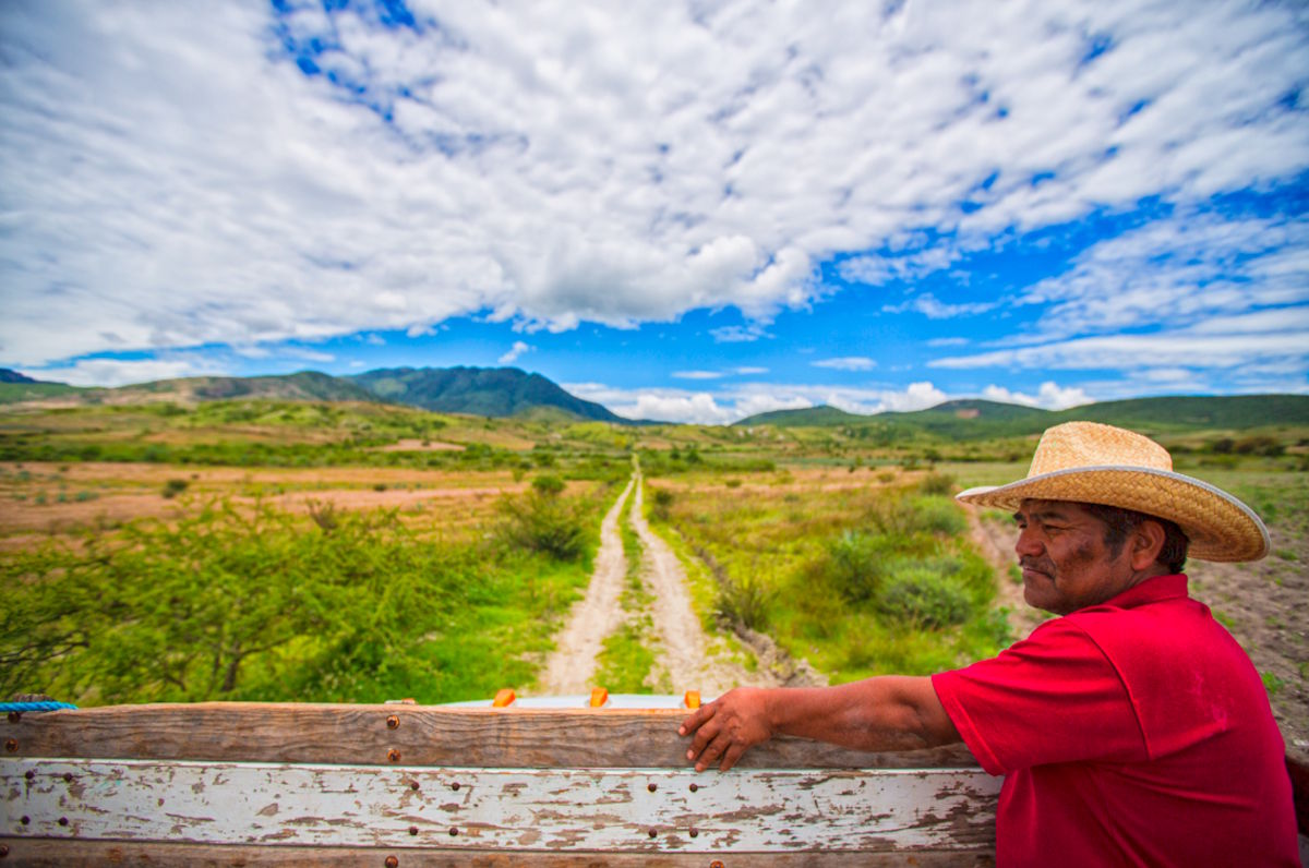 Ein Mann mit Strohhut lehnt an einem Holzzaun und blickt über eine weite, landwirtschaftlich genutzte Landschaft mit geradem Feldweg, grünen Pflanzen und Bergen im Hintergrund unter wolkenreichem Himmel