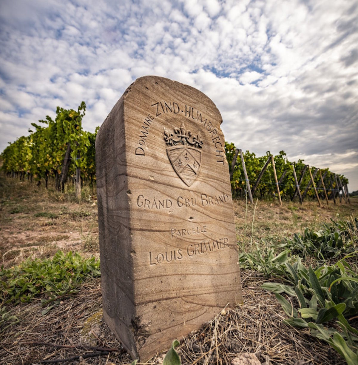 Lagenstein mit Inschrift „Domaine Zind-Humbrecht – Grand Cru Brand – Parcelle Louis Grüner“ vor Weinberg unter wolkigem Himmel.