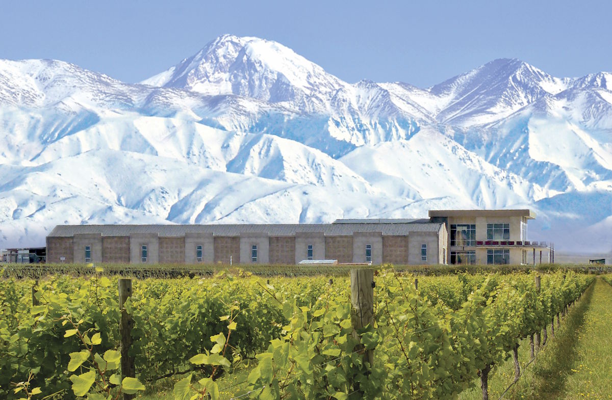 Modernes Weingutsgebäude inmitten grüner Reben, im Hintergrund schneebedeckte Andengipfel unter klarem Himmel.