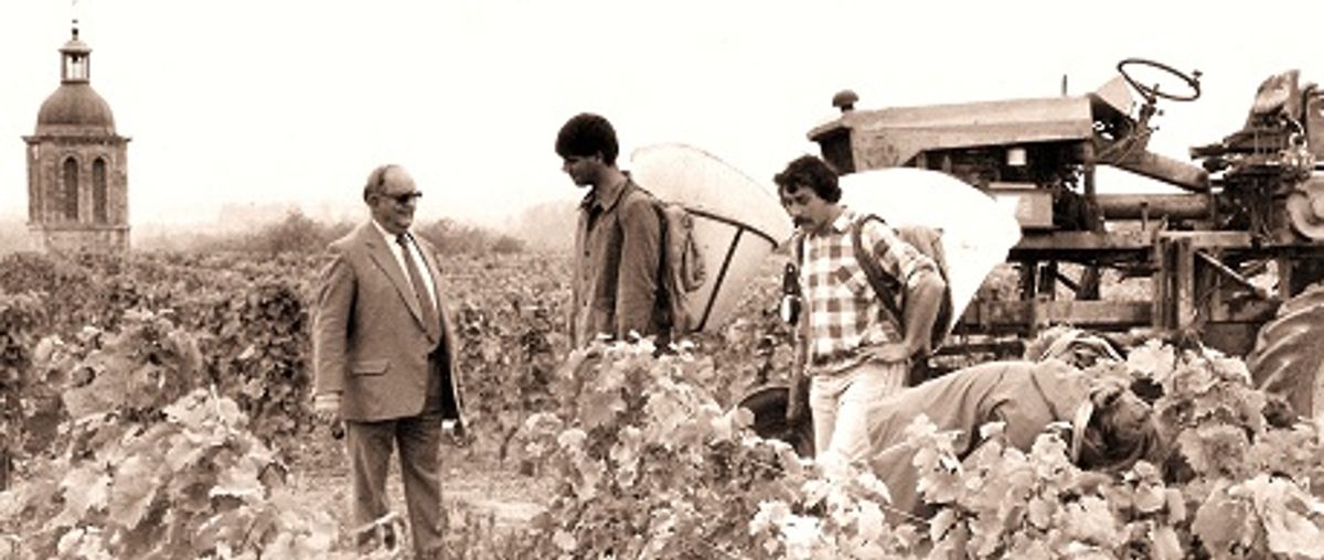 Historische Aufnahme von Winzern bei der Weinlese mit einem Traktor im Hintergrund und einer Kirche im Weinberg
