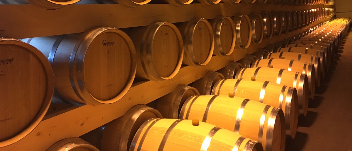 Reihen aus neuen Holzfässern lagern in einem gut beleuchteten Weinkeller. Die Fässer reflektieren das warme Licht, das den Raum durchzieht.