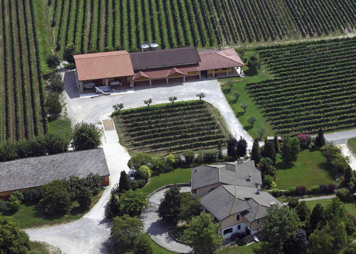 Weingut mit Wohnhaus und Kellerei umgeben von Weinbergen aus der Vogelperspektive Luftaufnahme eines Weinguts mit Wohnhaus, moderner Kellerei und gepflegten Weinbergen in grüner Hügellandschaft
