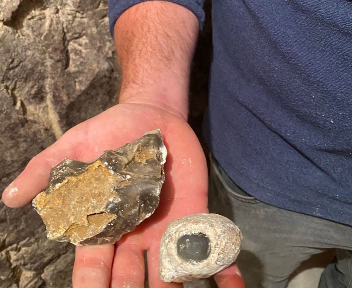 Person hält zwei Gesteinsbrocken in der Hand, darunter Feuerstein und ein Stein mit fossilem Einschluss.