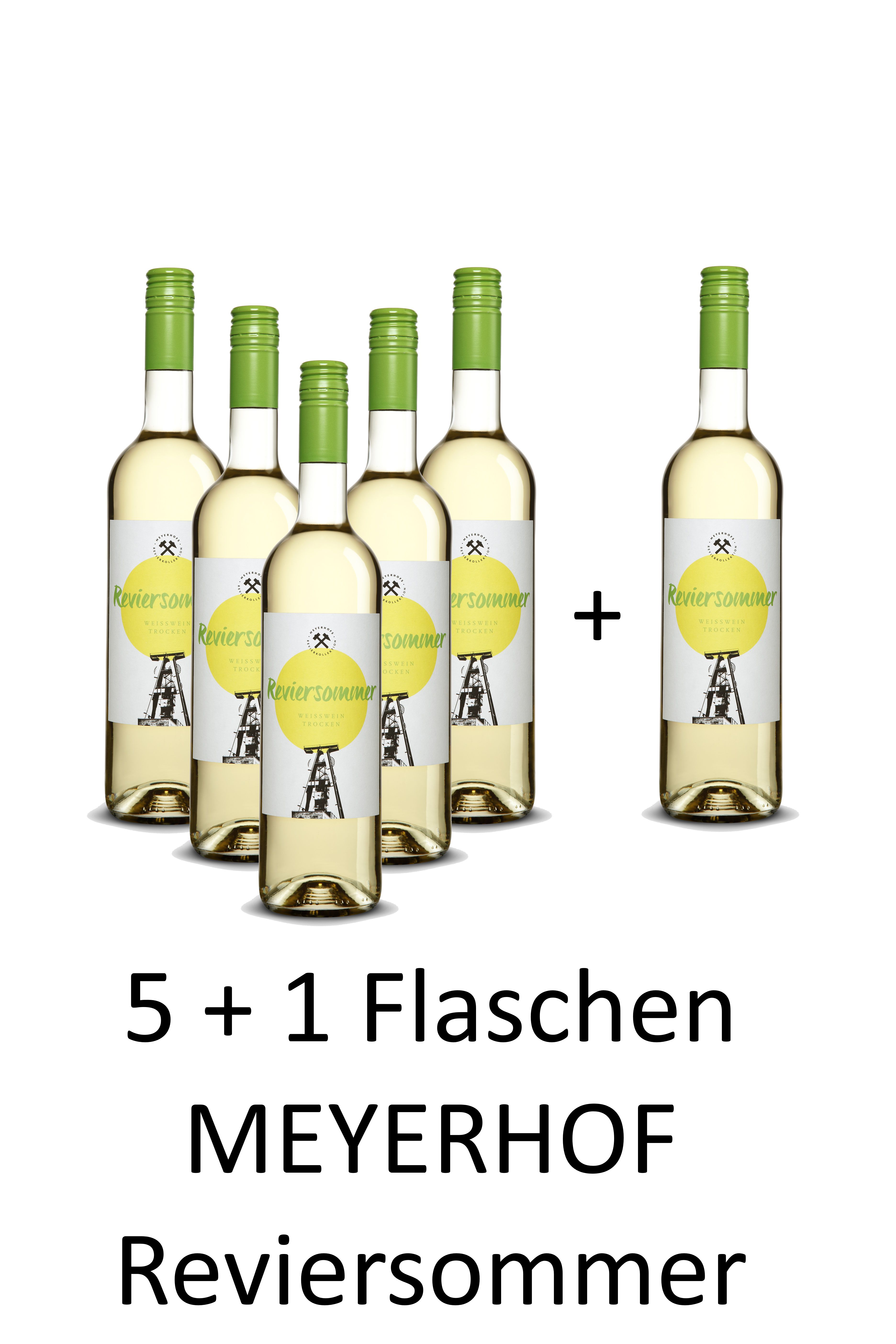 5+1 Flaschen MEYERHOF REVIERSOMMER Weißwein