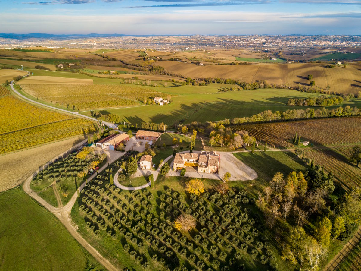 Luftaufnahme eines Weinguts mit umliegenden Weinbergen und Olivenhainen in hügeliger Landschaft