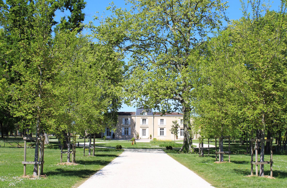 Ein elegantes Herrenhaus am Ende eines von jungen Bäumen gesäumten Kieswegs in einer gepflegten Parkanlage bei strahlendem Sonnenschein.
