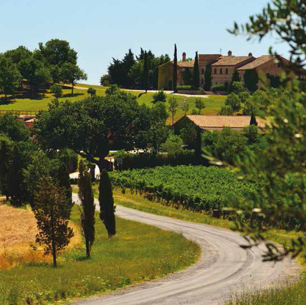 Kurvige Landstraße führt durch Weinberge und Zypressen zu einem Gutshof in der toskanischen Hügellandschaft