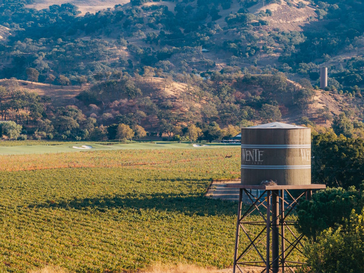 Wasserturm mit der Aufschrift „WENTE“ überblickt weitläufige Weinberge in einer hügeligen Landschaft