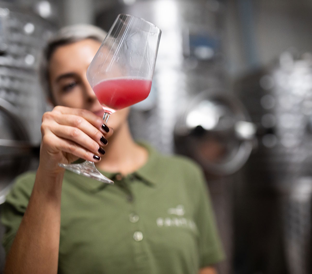 Person in Weinkellerei hält ein Glas mit rosafarbener Flüssigkeit in die Kamera, im Hintergrund Edelstahltanks.
