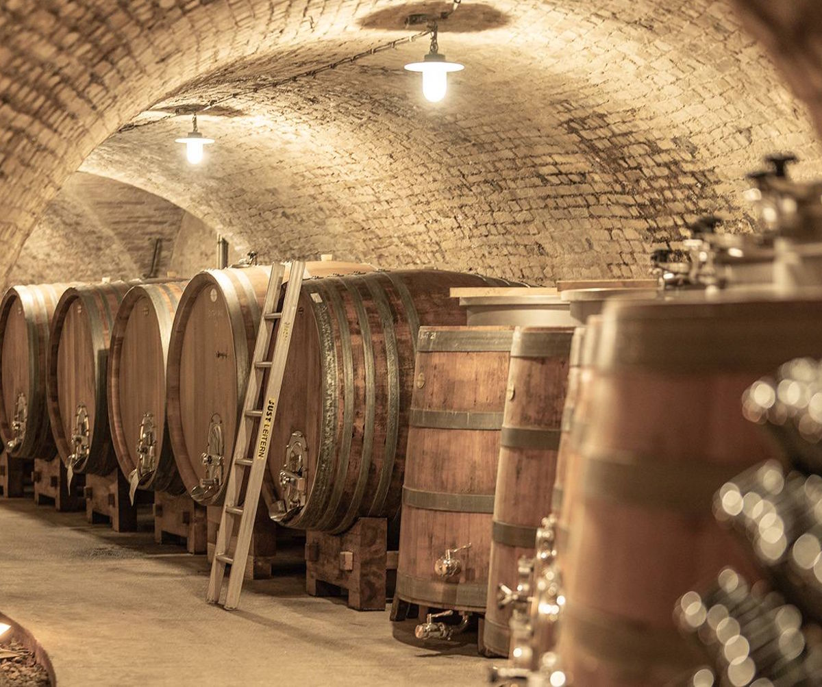 Gewölbekeller mit großen Holzfässern und Edelstahltanks, beleuchtet von Deckenlampen, eine Leiter lehnt an einem Fass.