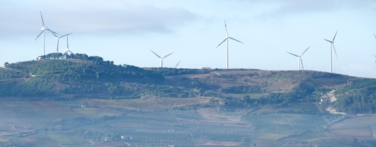 Hügelige Weinbaulandschaft mit mehreren Windrädern im Hintergrund unter leicht bewölktem Himmel.