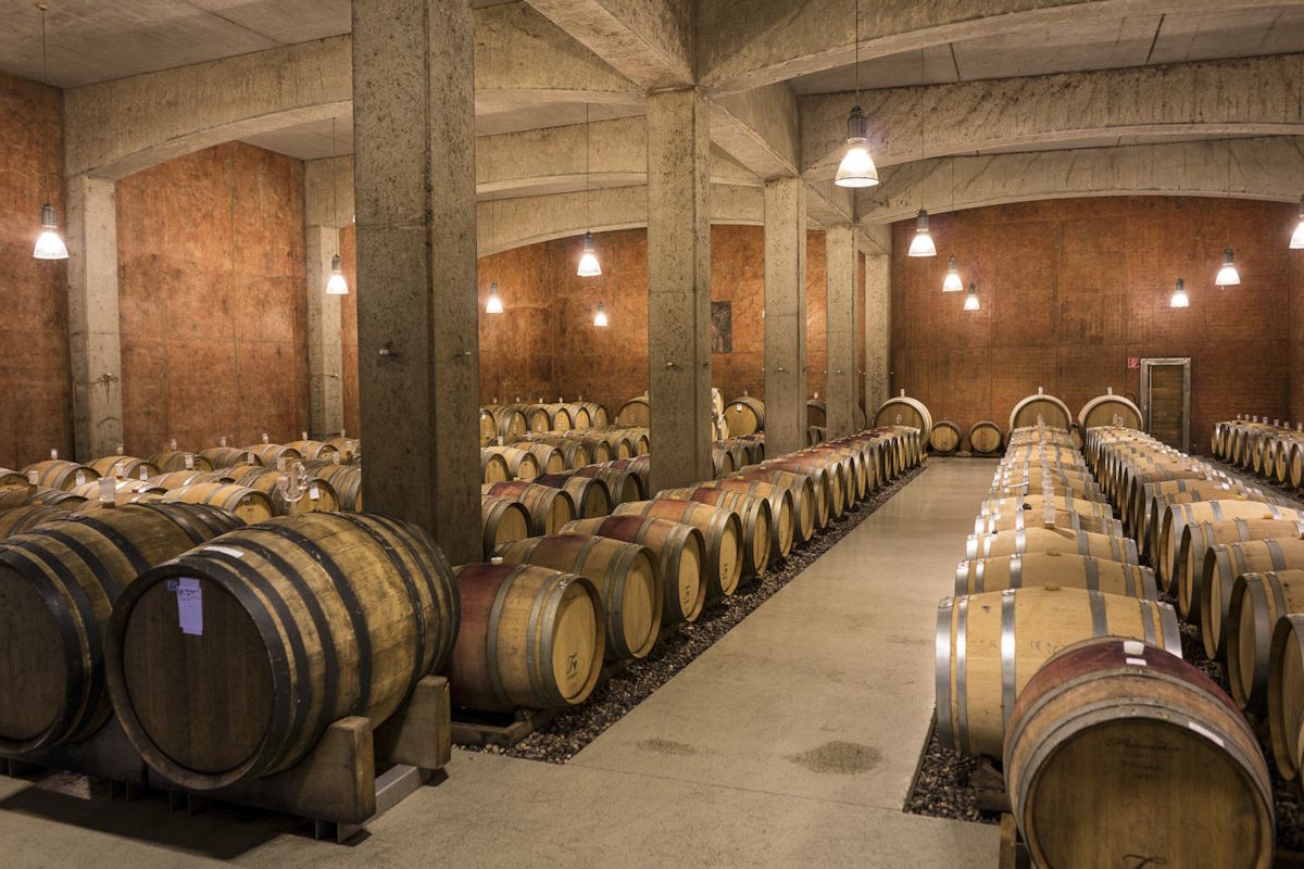  Moderner Fasskeller mit Reihen aus Barriquefässern zwischen Betonpfeilern und warm beleuchteter Decke