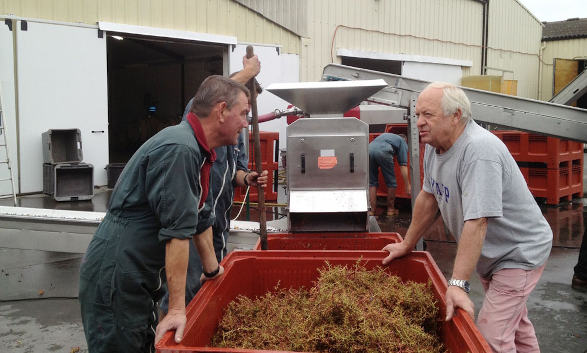 Zwei Männer sprechen an einer Kiste mit abgebeerten Trauben vor einer Entrappungsmaschine im Weingutsbetrieb.