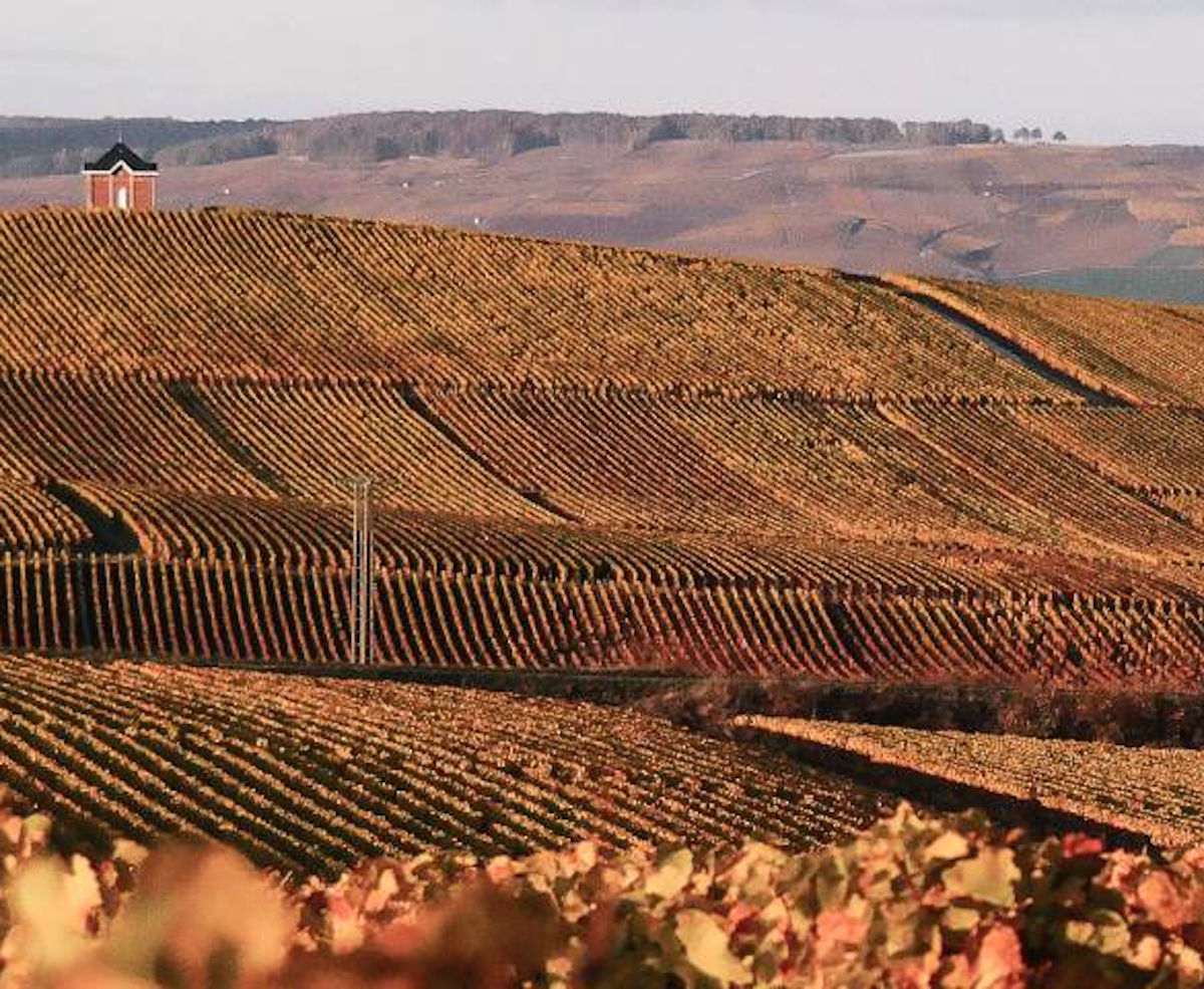Herbstlich gefärbte Weinberge erstrecken sich über sanfte Hügel. Auf einem der Hügel steht ein kleines Häuschen, im Hintergrund eine karge Landschaft.