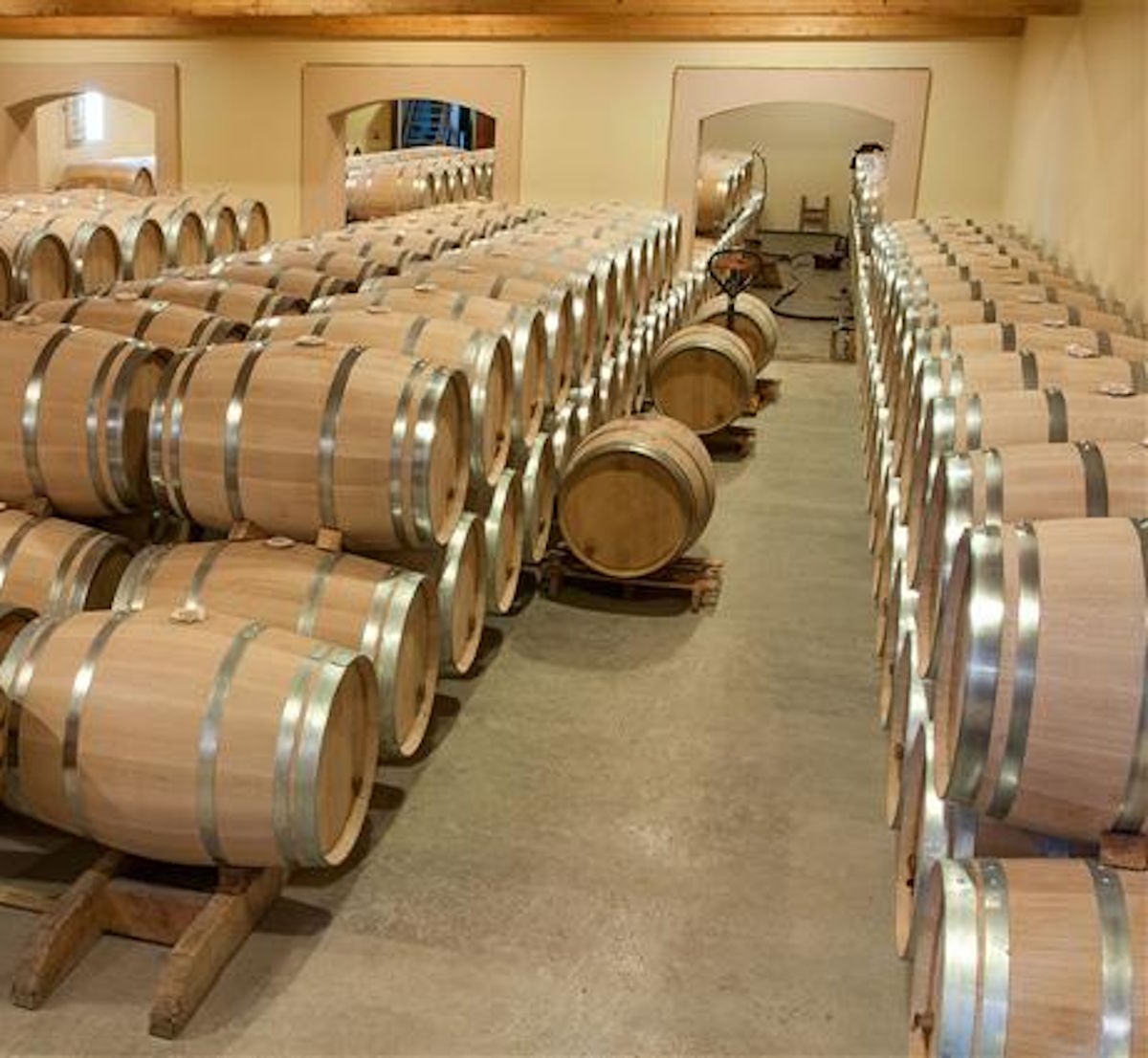 Ein heller Weinkeller mit zahlreichen neuen Eichenfässern, die in ordentlichen Reihen auf Holzgestellen lagern.