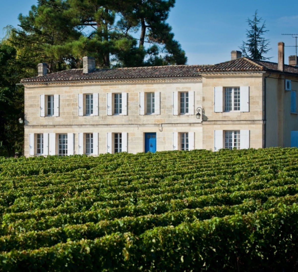 Elegantes Herrenhaus mit weißen Fensterläden vor gepflegtem Weinberg, umgeben von Bäumen.