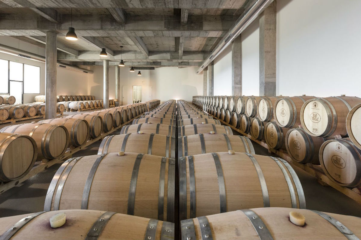 Heller Weinkeller mit symmetrisch aufgereihten Eichenfässern zur Reifung, umgeben von Betonpfeilern und großen Fenstern.