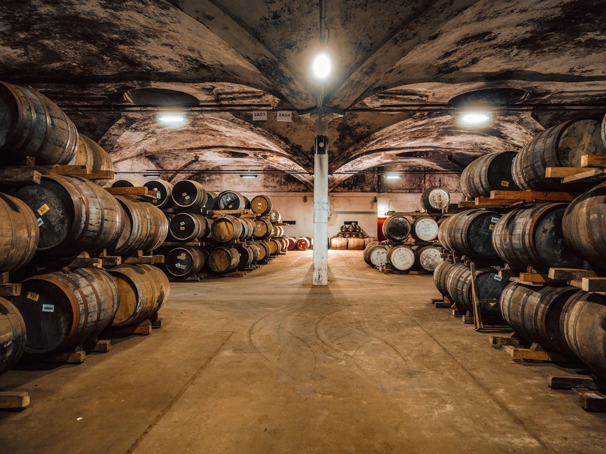 Blick in einen alten Gewölbekeller mit unzähligen Holzfässern, in denen Whisky reift – das Fasslager besticht durch seine rustikale Atmosphäre, die von den abgenutzten Wänden und der gedämpften Beleuchtung unterstrichen wird