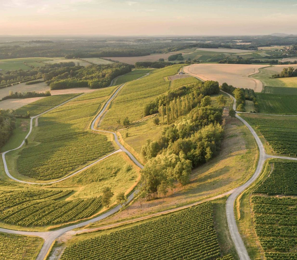 Luftaufnahme einer hügeligen Landschaft mit Weinbergen, Feldern, Wegen und Baumgruppen im warmen Abendlicht.