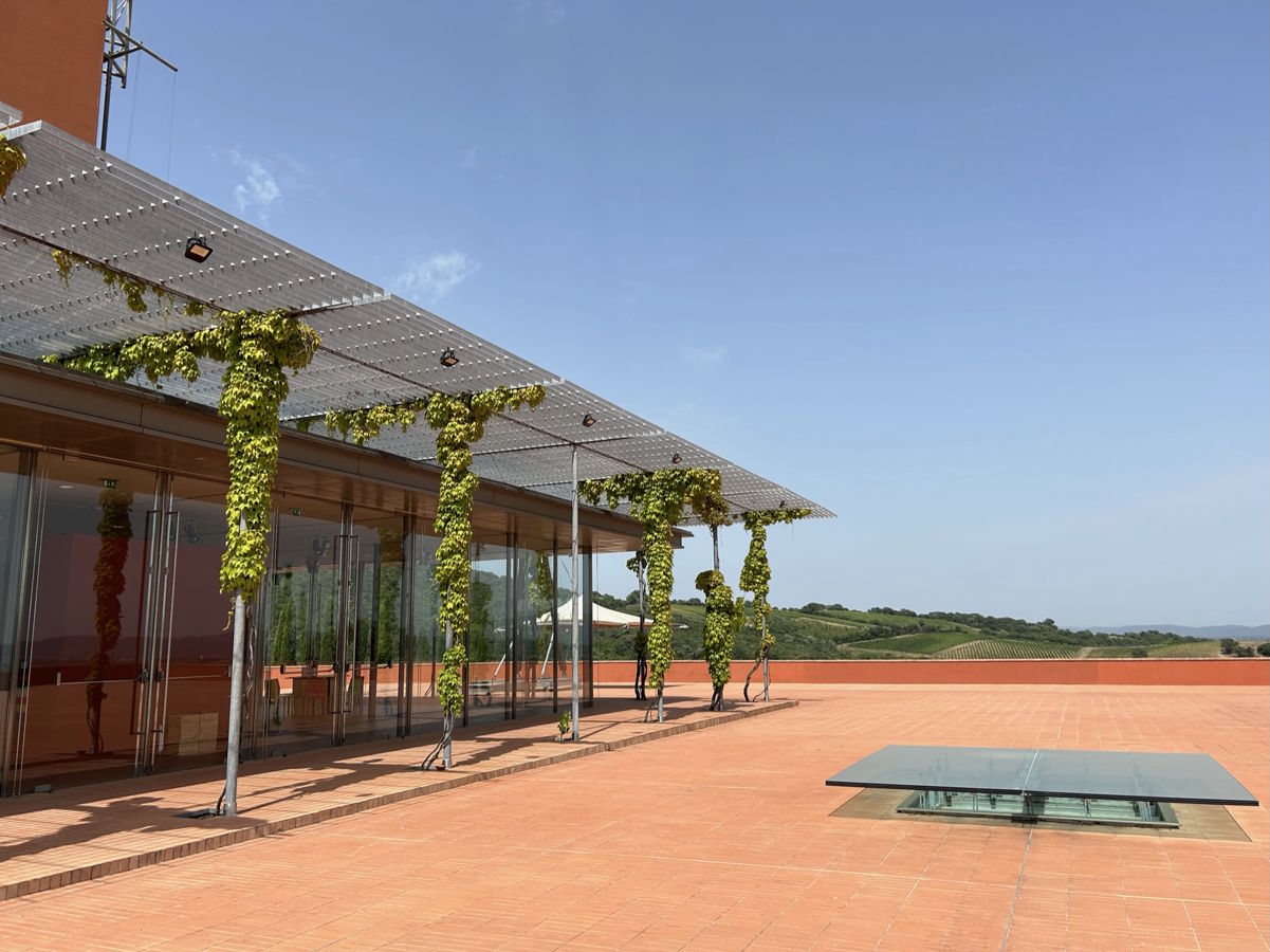 Moderne Terrasse eines Weinguts mit begrünten Säulen und Blick über die Weinlandschaft