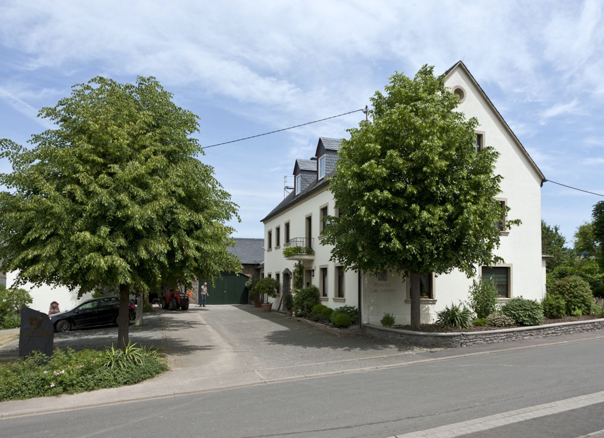 Familiäres Weingut mit einladendem Hof in ländlicher Umgebung Weißes Weingutsgebäude mit gepflegtem Hof, Bäumen und Begrünung an einer ruhigen Dorfstraße bei sonnigem Wetter