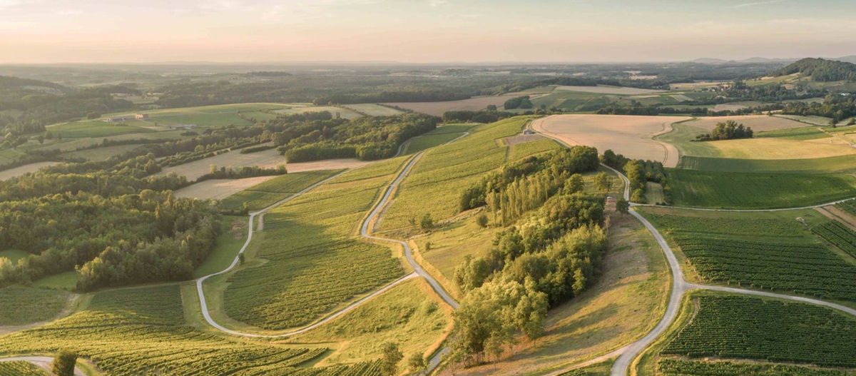 Luftaufnahme einer hügeligen Landschaft mit Weinbergen, Feldern, Wegen und Baumgruppen im warmen Abendlicht.