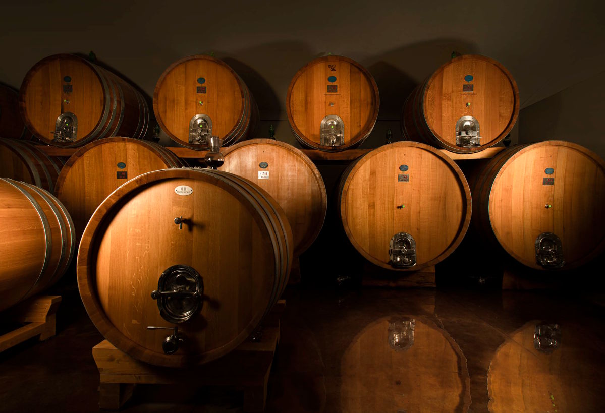  Reihe großer Holzfässer in einem abgedunkelten Weinkeller, stimmungsvoll beleuchtet mit Reflexionen auf dem Boden